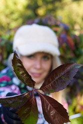 Similar image 21093209