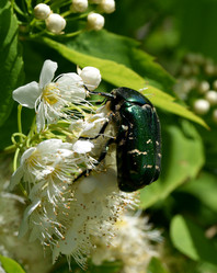 Similar image 21094328