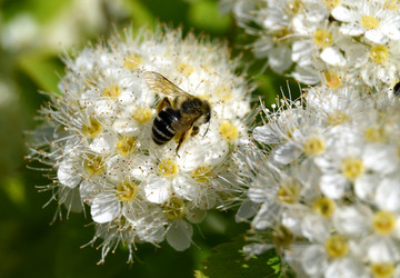 Similar image 21094330