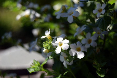 Similar image 21094331