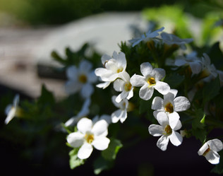 Similar image 21094332