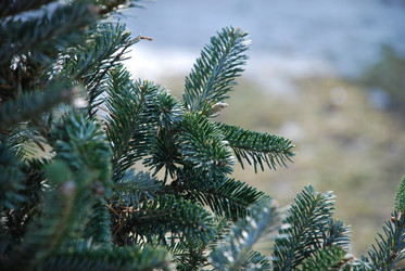 Similar image 21106670