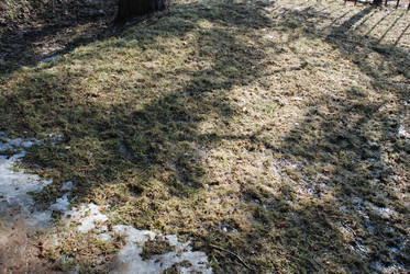 Similar image 21106672