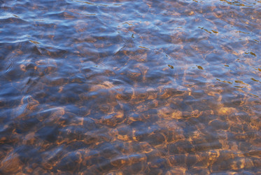 Similar image 21106675