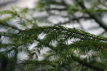 Similar image 21106679