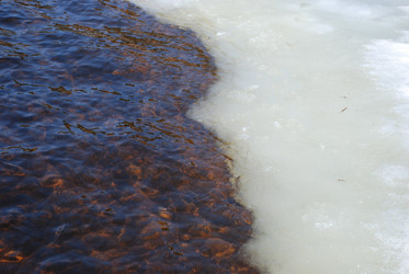 Similar image 21106682