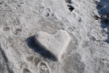 Similar image 21106685