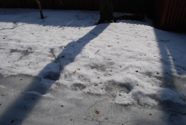 Similar image 21106687