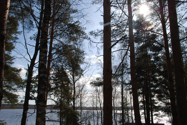 Similar image 21106691