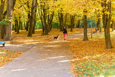 Similar image 21094336