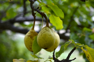 Similar image 21094302