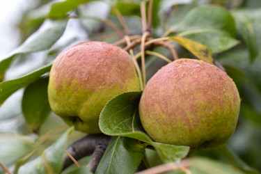 Similar image 21094303