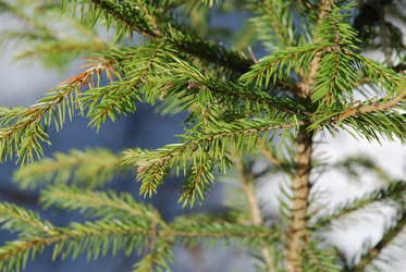 Similar image 21106696