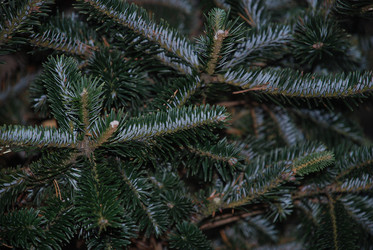 Similar image 21106697