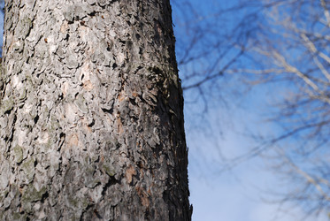 Similar image 21110694