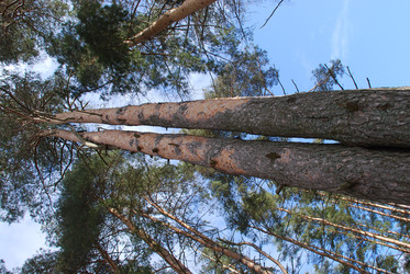 Similar image 21110696