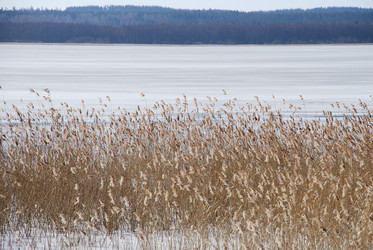 Similar image 21110698