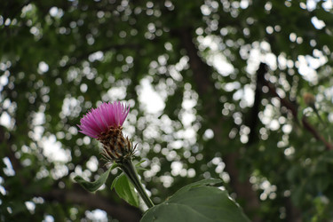 Similar image 21094281