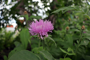 Similar image 21094284