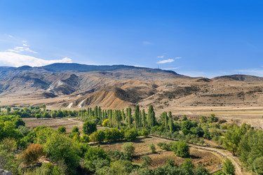 Similar image 21108857