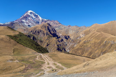 Similar image 21108870