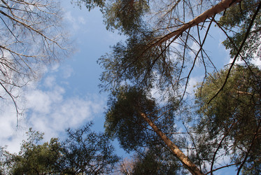 Similar image 21111125