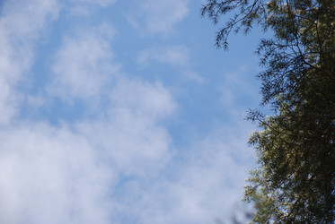 Similar image 21111127