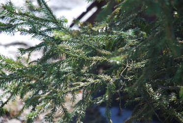 Similar image 21111129