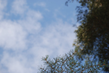 Similar image 21111130