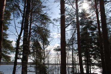 Similar image 21111132