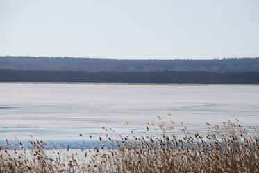 Similar image 21111134