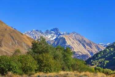 Similar image 21109197