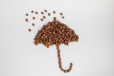 Similar image 21107519