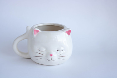 Similar image 21107548