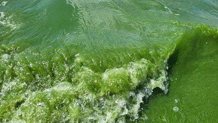 Similar image 21107554