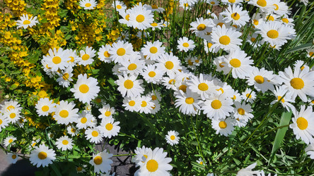 Similar image 21107560