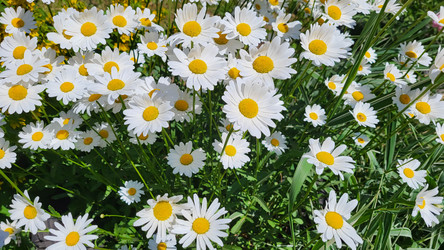 Similar image 21107562