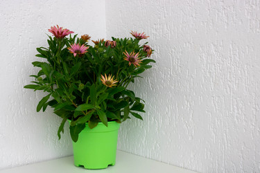 Similar image 21107582