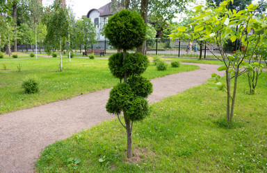 Similar image 21107583