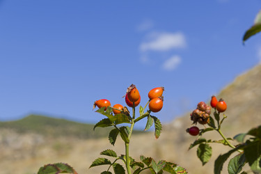 Similar image 21094222