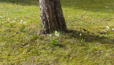 Similar image 21094225