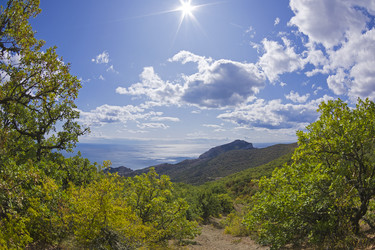 Similar image 21094229