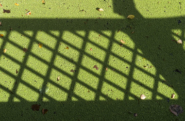 Similar image 21094235