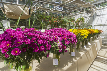 Similar image 21094236