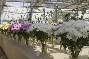 Similar image 21094237