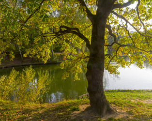 Similar image 21094240