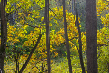 Similar image 21094244