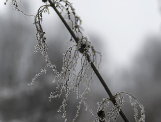 Similar image 21094246