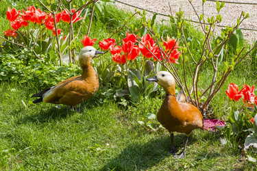 Similar image 21094252