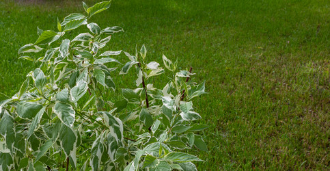 Similar image 21107586